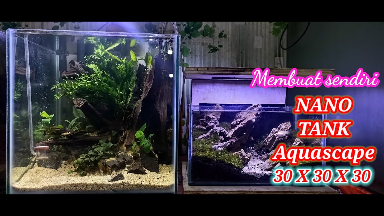 Nano Tank Aquascape 30x30x30 || jungle style Simple Mudah Dan Murah || Vian Aquascape