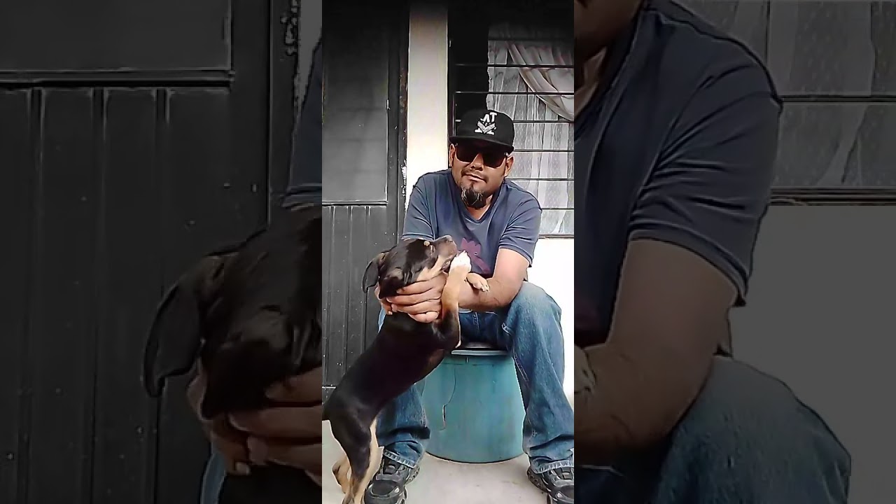Entrenando a chito para que me acompañe a mis viajes 
