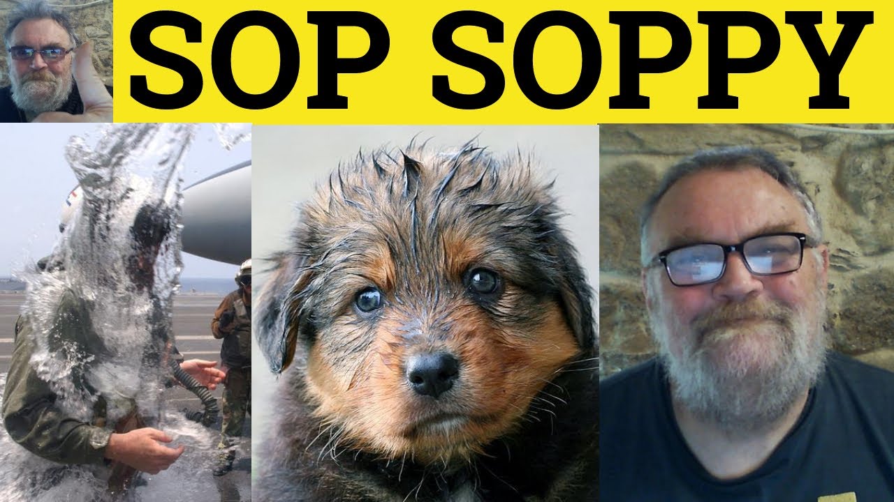 🔵 Значение слова «soppy» — Определение слова «sop up» — Примеры «sopping» — Определение слова «so...