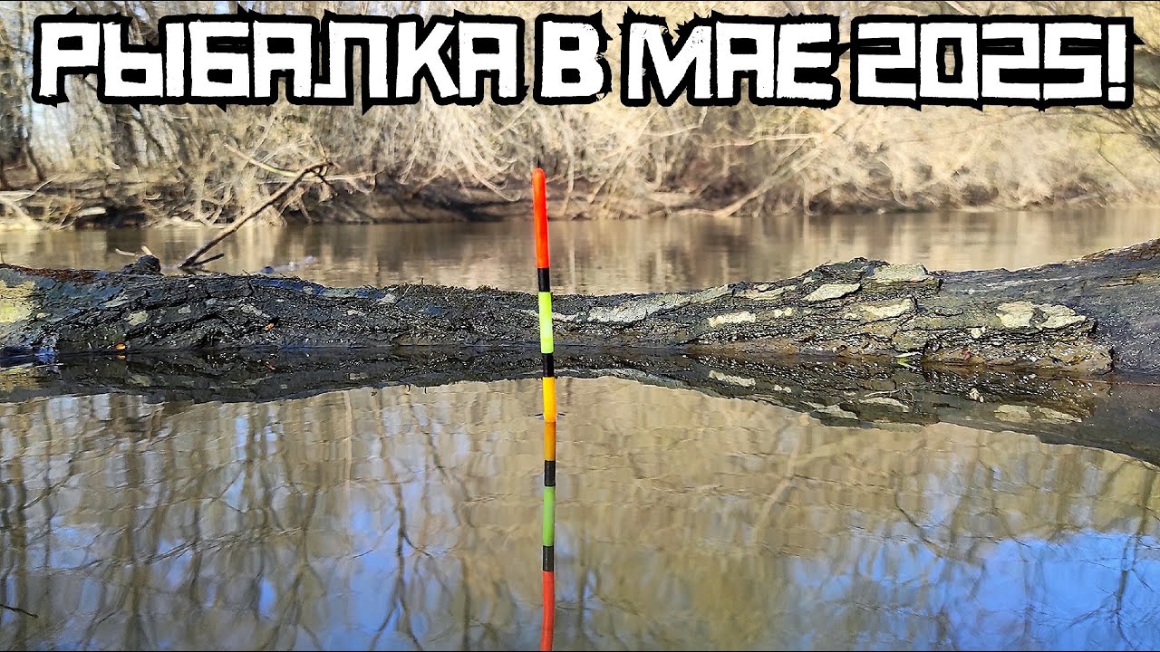 ЗАТОПЛЕННЫЙ РУЧЕЙ ВЫДАЁТ КРУПНОЕ?! Закинул поплавок и КЛЮЁТ! Рыбалка 2025