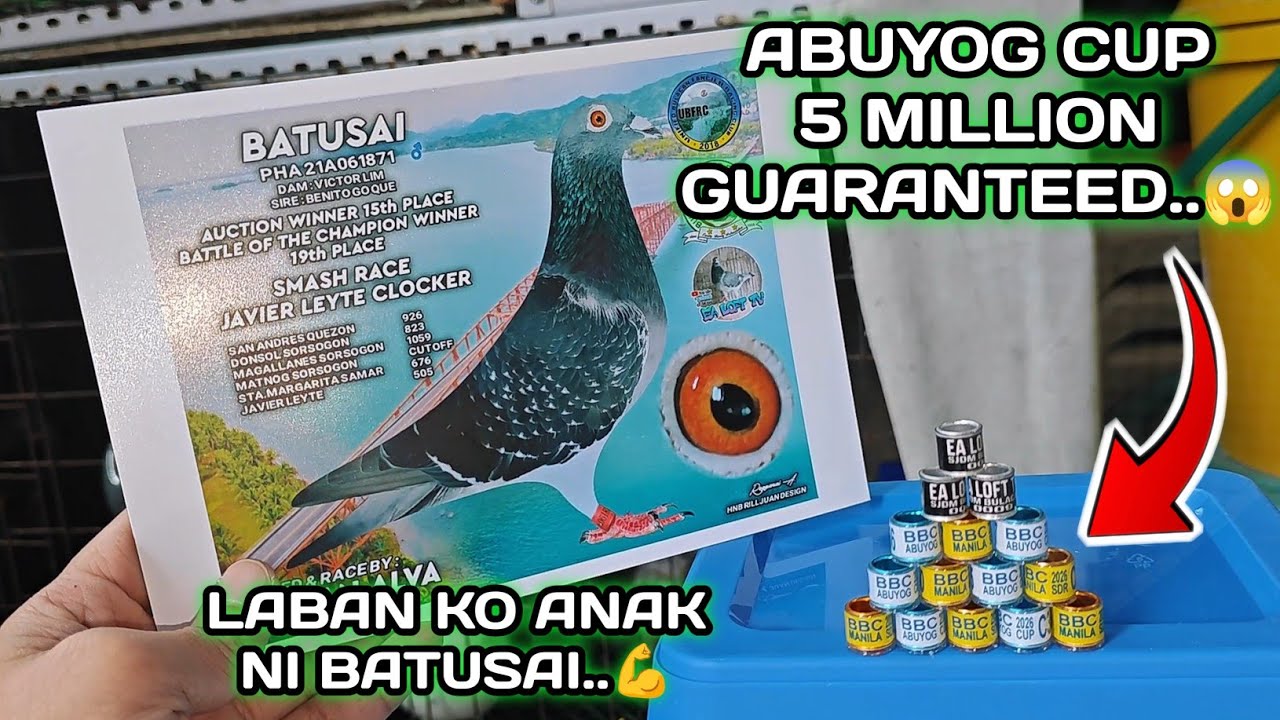 ABUYOG CUP.. 5 MILLION GUARANTEED..😱 | LABAN KO ANAK NI BATUSAI..💪