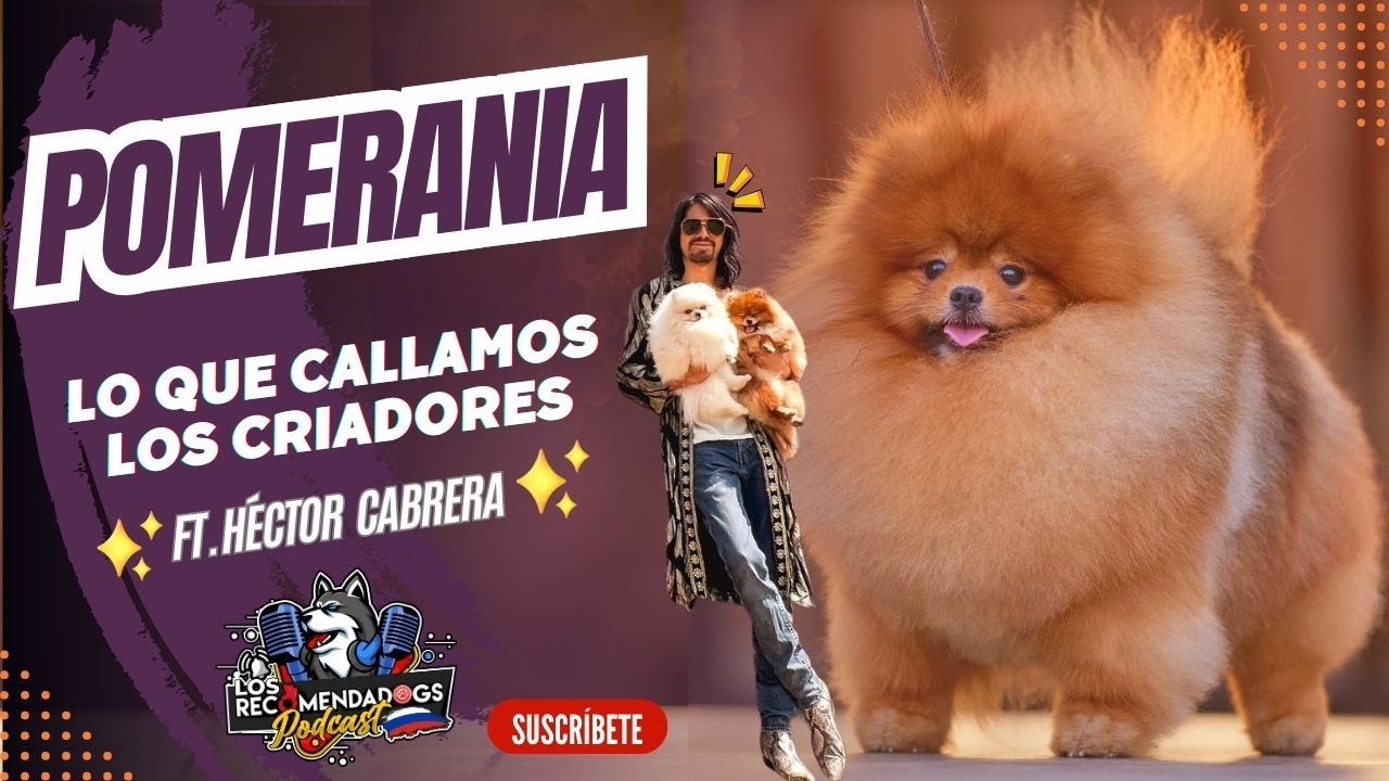 Pomerania !Lo que nadie te quiere contar! Ep 8 Los RecomendaDogs
