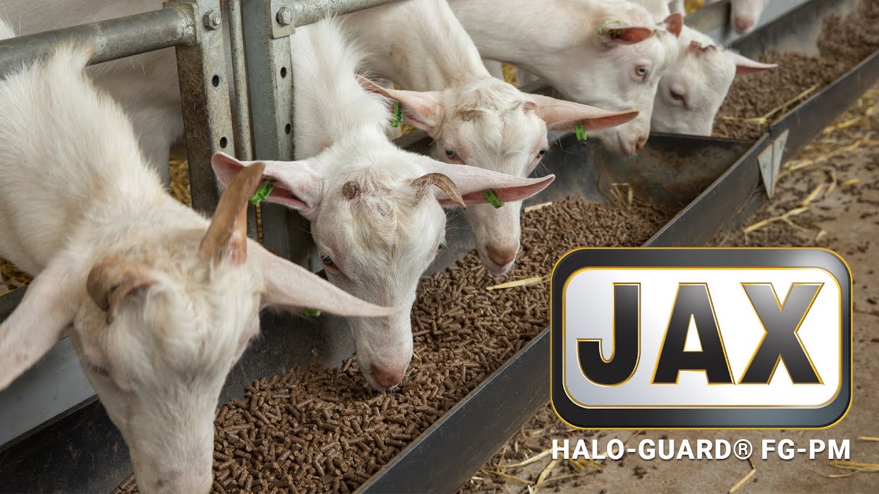 JAX Halo-Guard® FG-PM