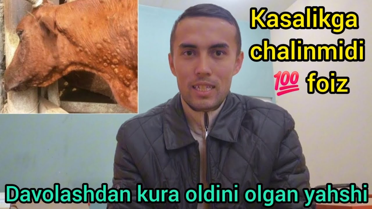 DERMATIT KASALLIGIGA CHALINMASLIKNI OLDINI OLISH