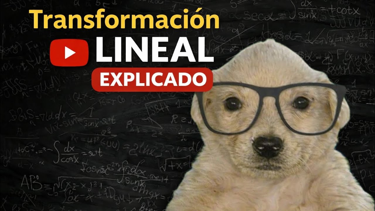 Transformación Lineal | Explicado