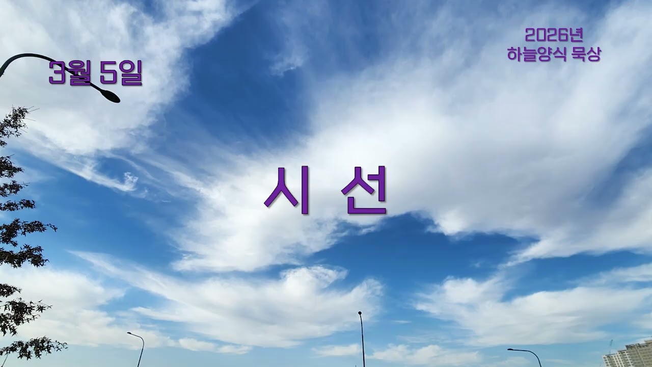 하늘양식 26년 3월 5일 시선