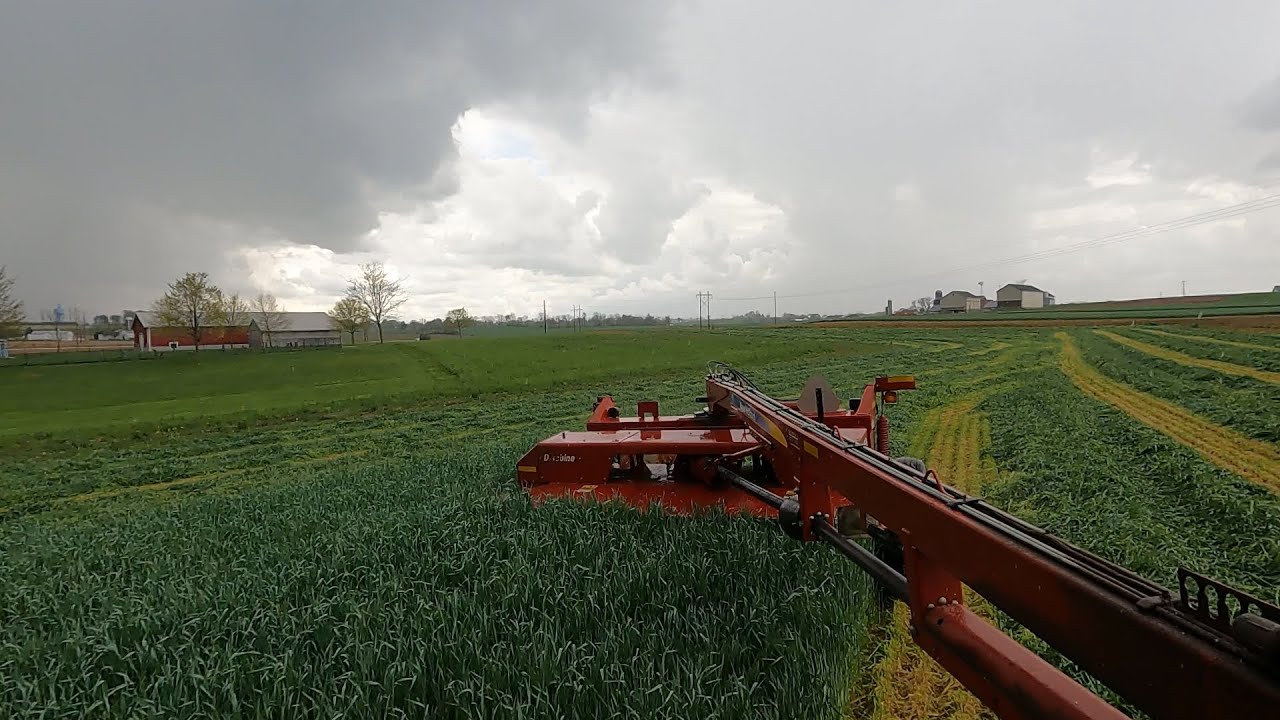 Mowing Hay in the Rain