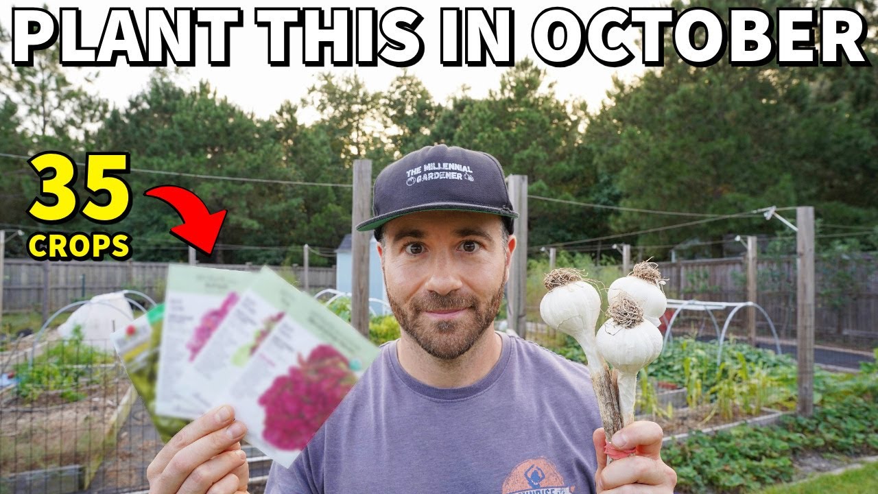 35 VEGGIES To Plant In October For A BEAUTIFUL Fall Garden!