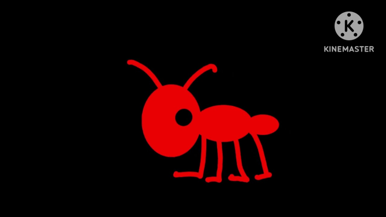 Insects 4 - @TheKidsPictureShow 