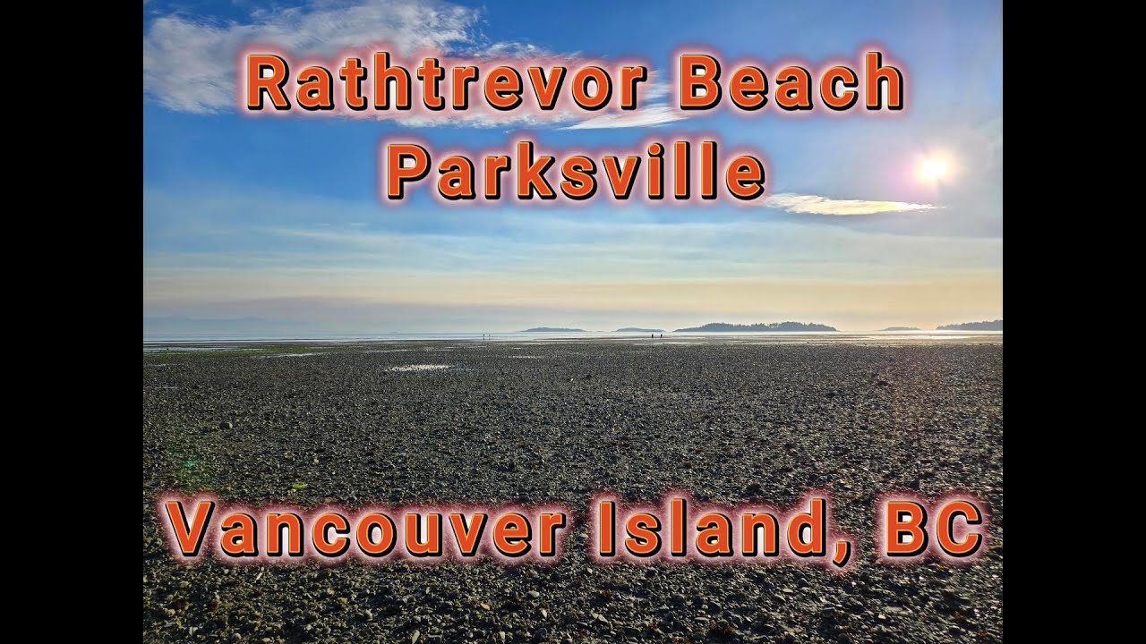 Whales & Sea Lions at Rathtrevor Beach | Vancouver Island Wildlife Encounter