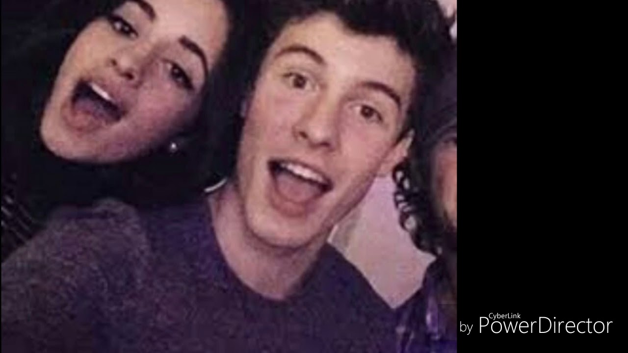 Shawn mendes and camila cabello (they dont know bout us)