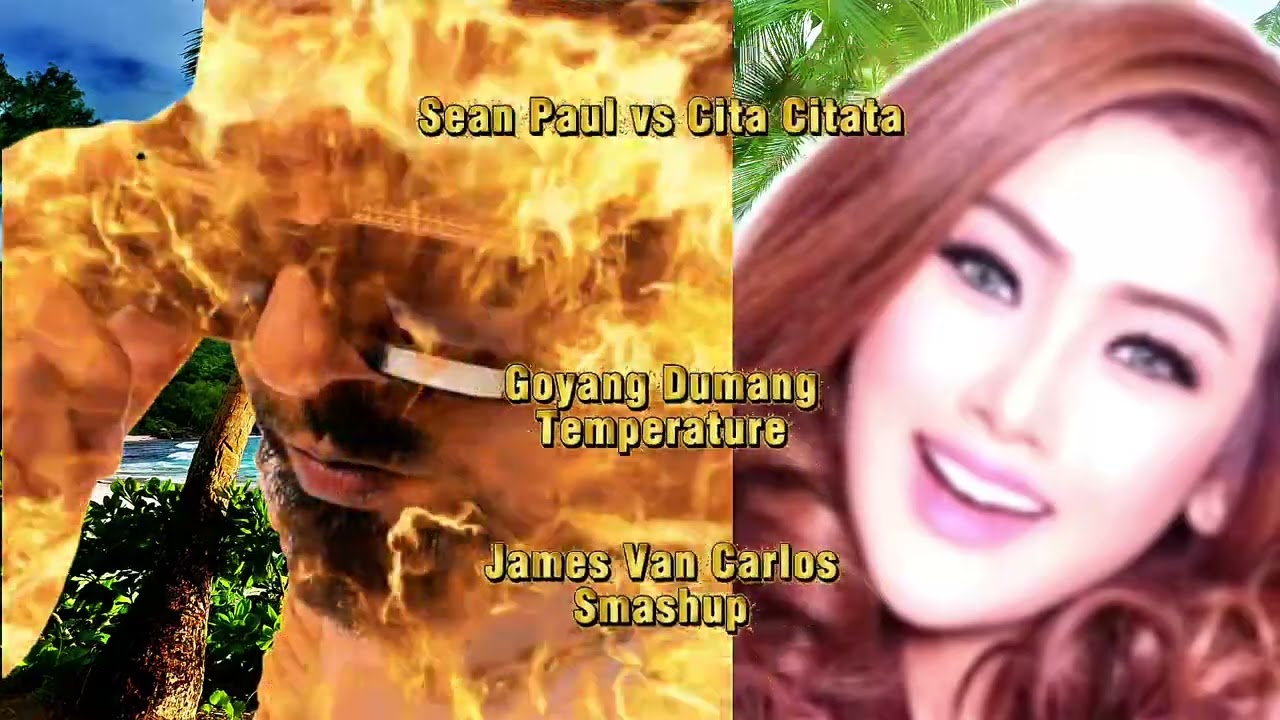 Sean Paul vs Cita Citata - Goyang Dumang Temperature (James Van Carlos Smashup)