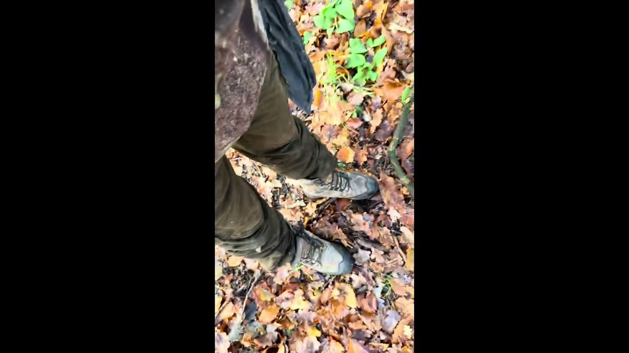 Grey Squirrel Shooting. 1st Winter ‘25 Session