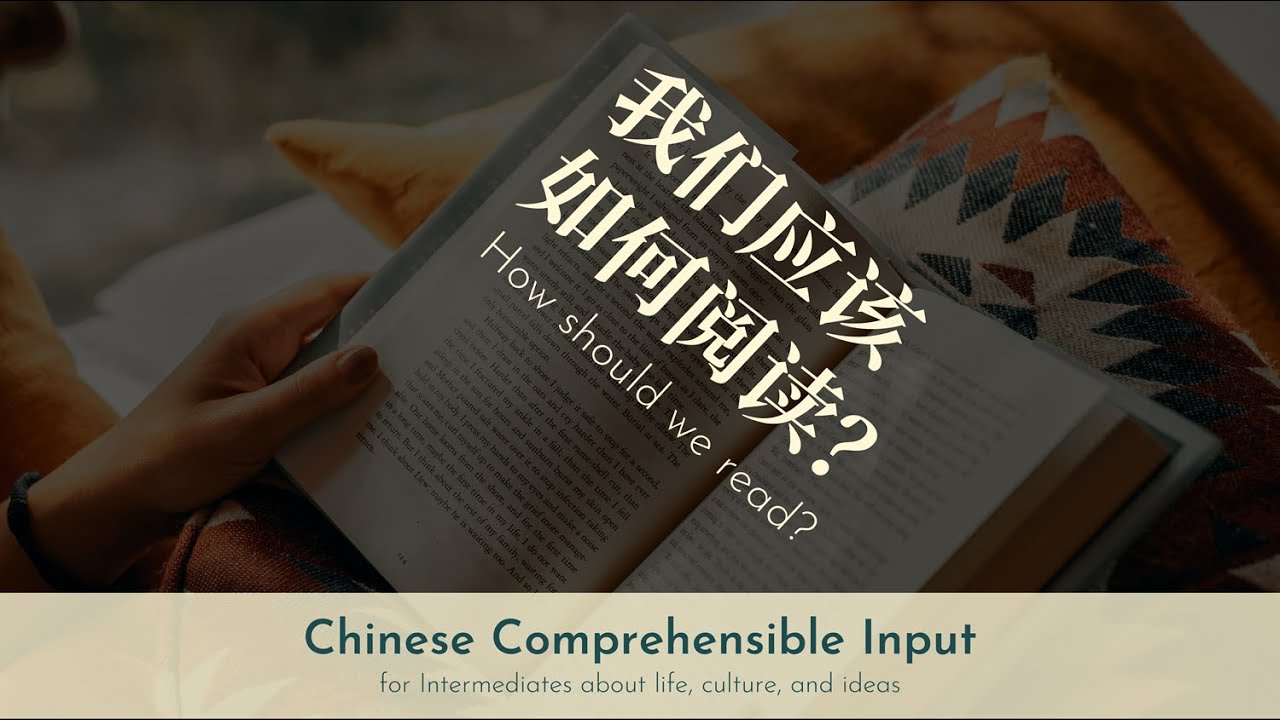 How should we read? 我们应该如何阅读？| Chinese Comprehensible Input | Real Chinese Talk #45