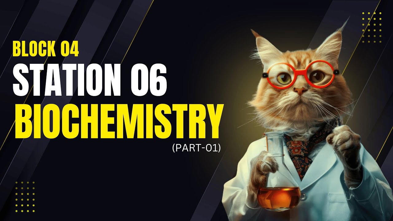 Station 06 | Part 01 | Block 04 | Ultimate OSPE Guide | Dr Awais Haral