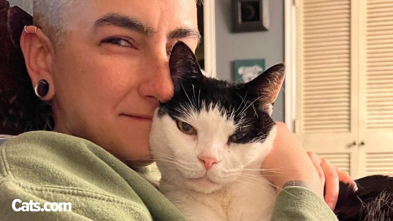 Owners Regret Giving Cat Talking Buttons | The Cat Chronicles