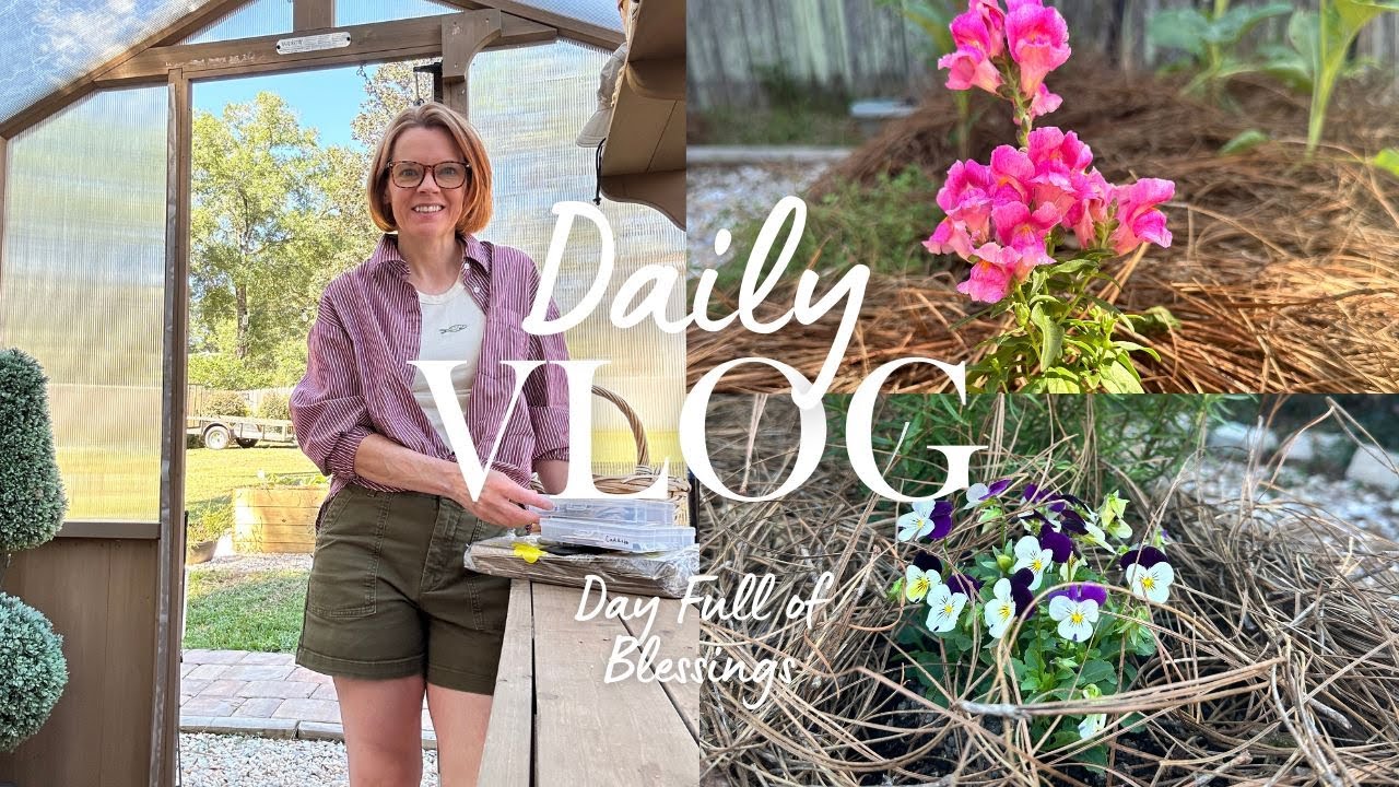 Weeknight in the Garden | Planting Strawflowers, Snapdragons & Fall Veggies