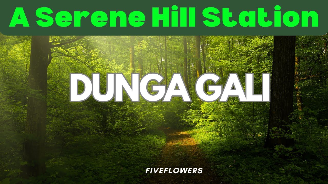 Travel Series: Part 3 | Exploring Dunga Gali | A Serene Hill Station