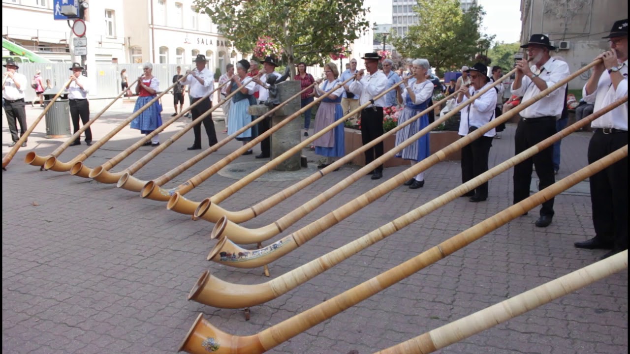 Akademia Rogu Alpejskiego w Łodzi (www.plasterlodzki.pl)