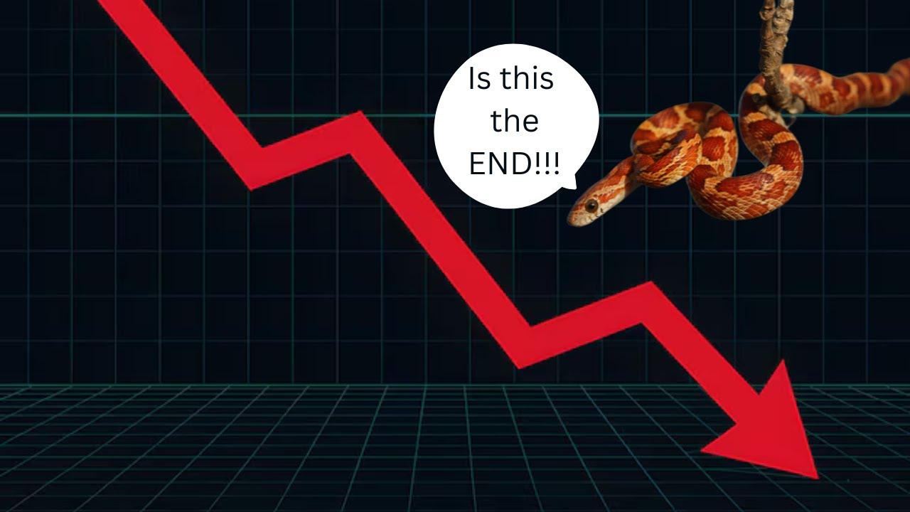 Is this the end of the Reptile Industry?!?!?