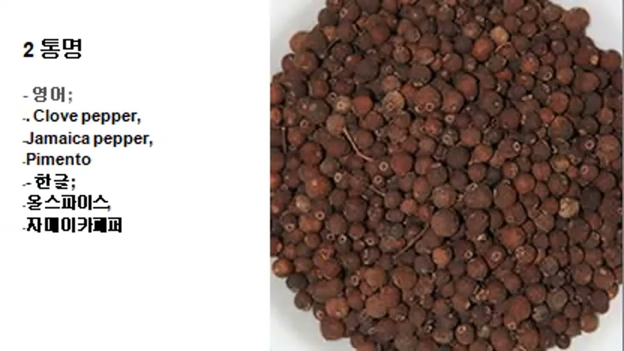 59 올스파이스 허브