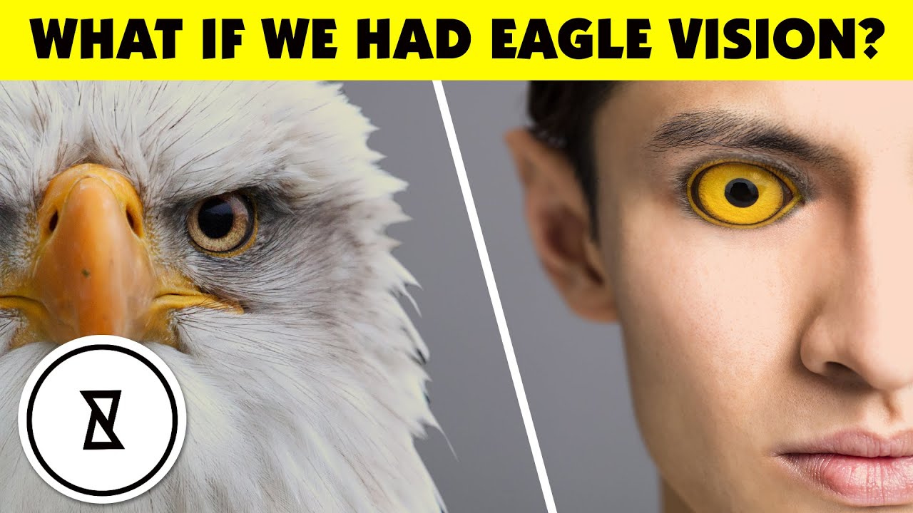 What If We Had Eagle Vision?