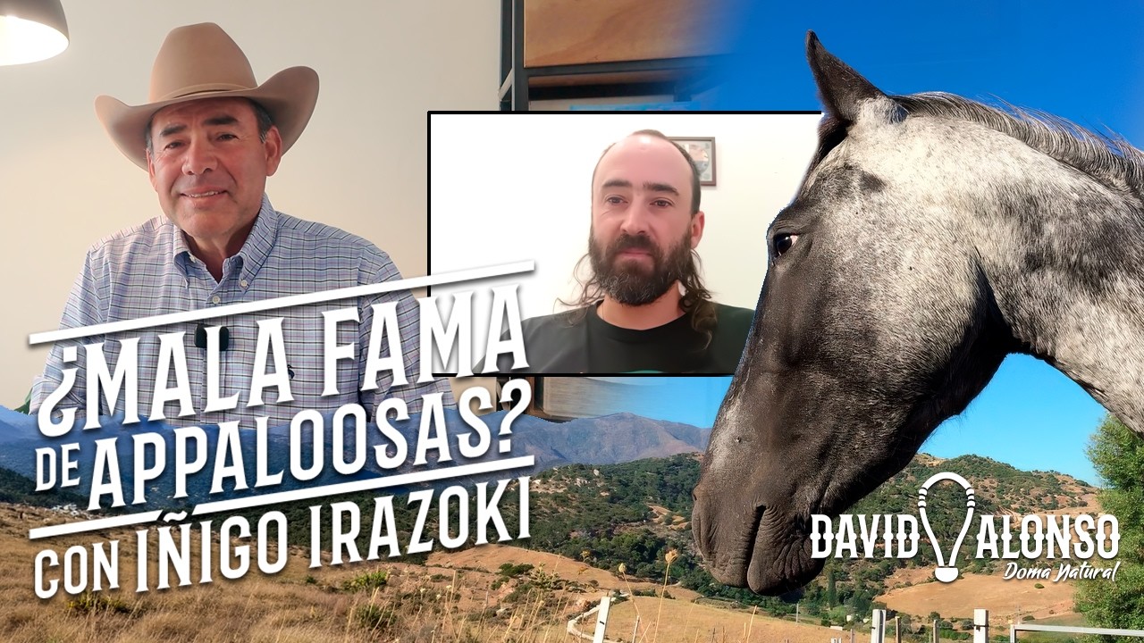 ¿Mala Fama de los Appaloosas? Parte 2