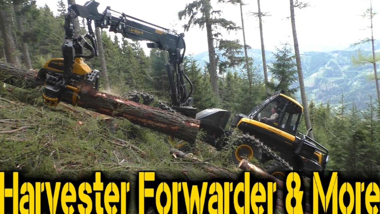 Ponsse Bear | Steep Slope Harvesting