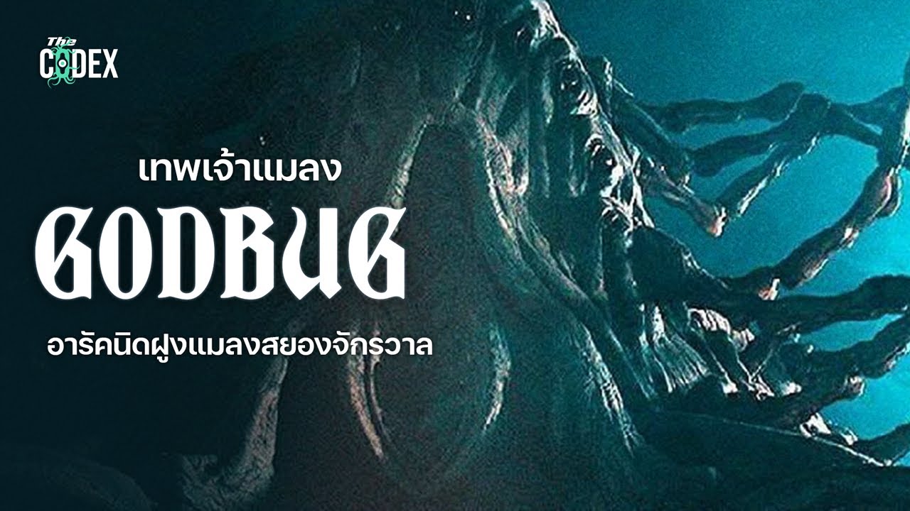 Godbug เทพเจ้าแห่ง Arachnid กองทัพหมื่นขาสยองจักรวาล | The Codex