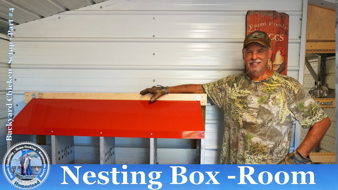 Want the chickens to lay the EGGS in the NESTING BOXES ?
