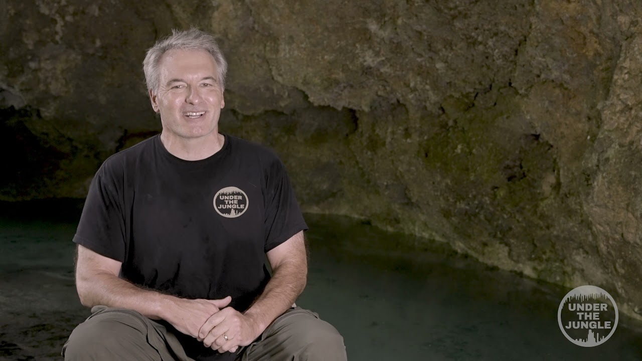 Under the Jungle With Rick Dobbins