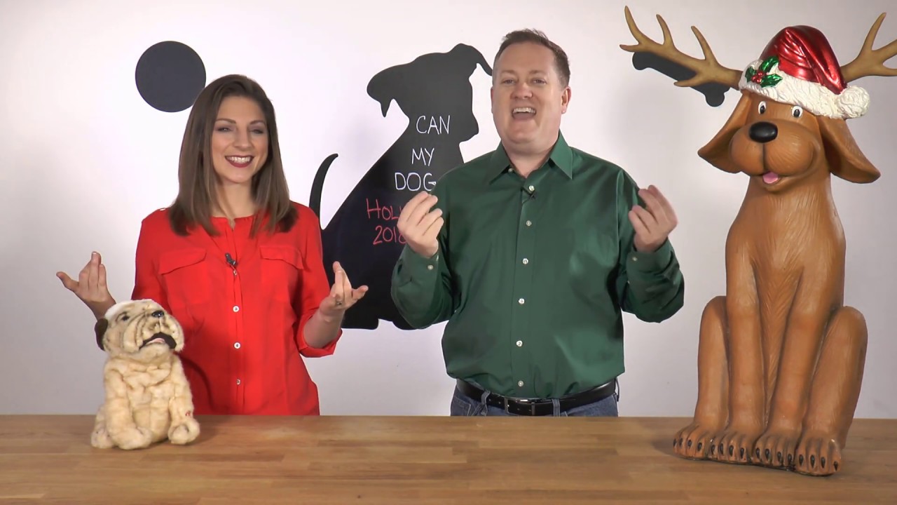 Can My Dog...? Show - Holiday Safety and Holiday Wishes!