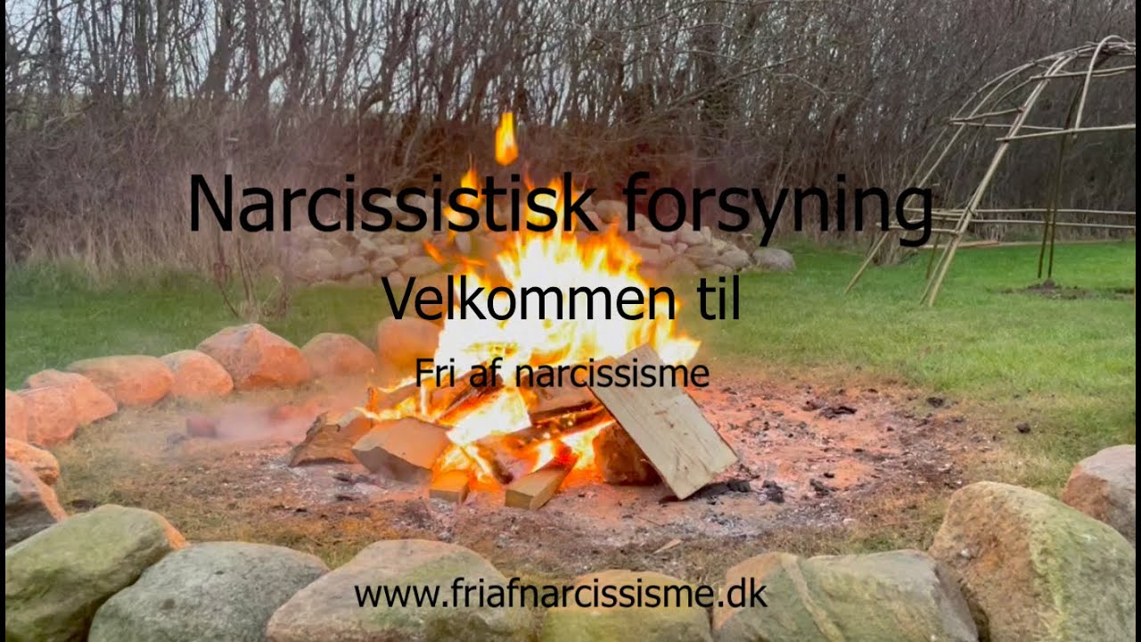 Narcissistisk forsyning