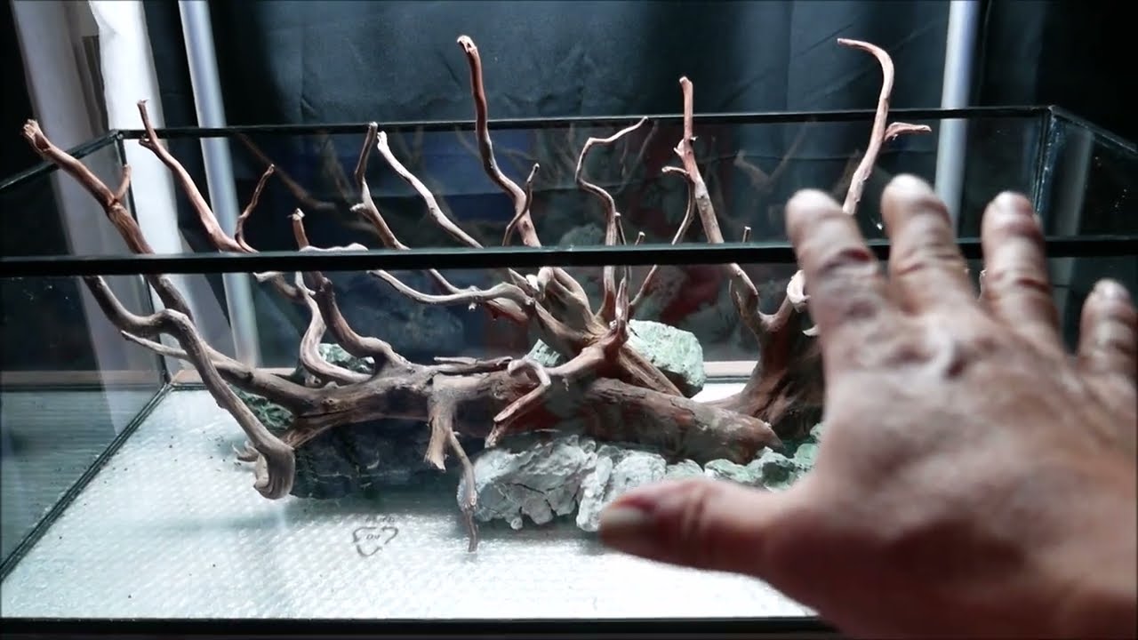 AQUASCAPING POUR DEBUTANT PART1  2022