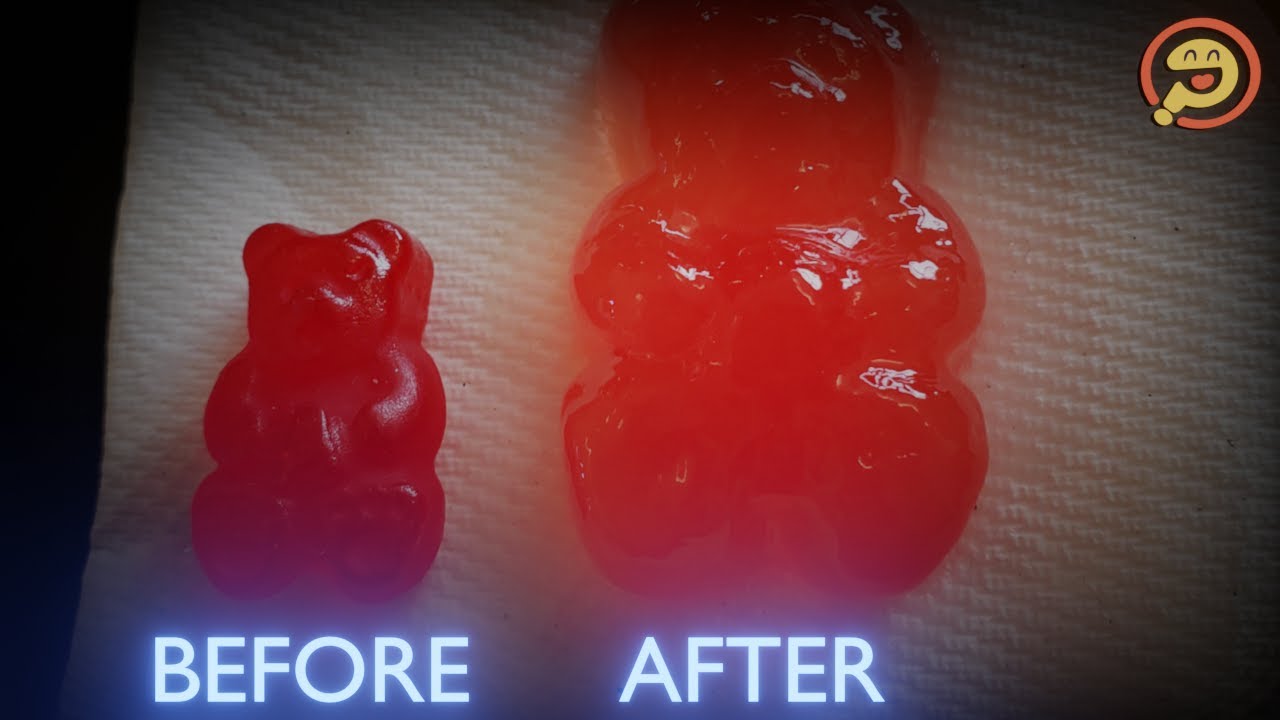What happens to gummy bears in water? - Absurd Hypothetical Highlights (PODCAST)