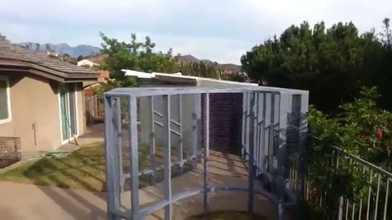 Aviary (pigeon house) just finished