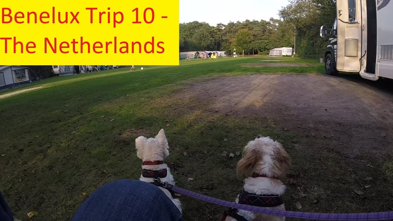 Arriving at Camping De Paal, The Netherlands - Benelux Trip 10
