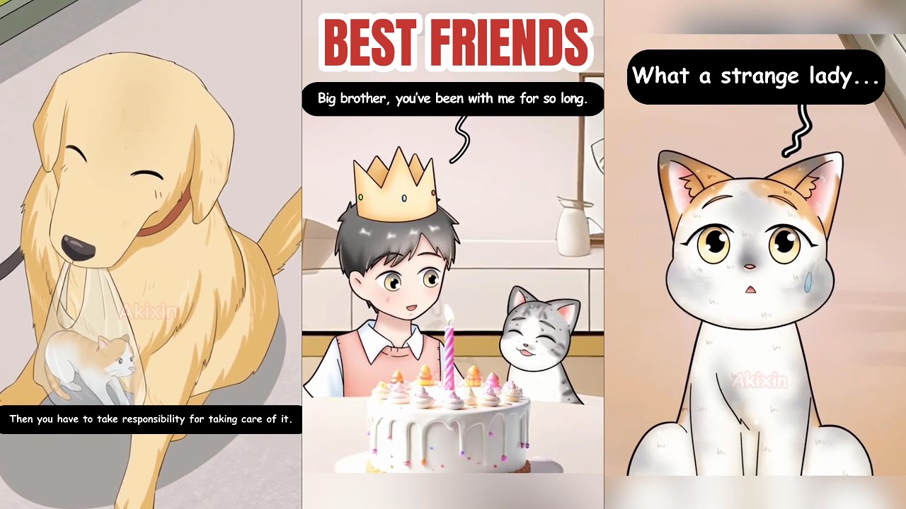 Cute Cats and Dogs Compilation Ep.3🐱🐶💕- Animation And Real Life