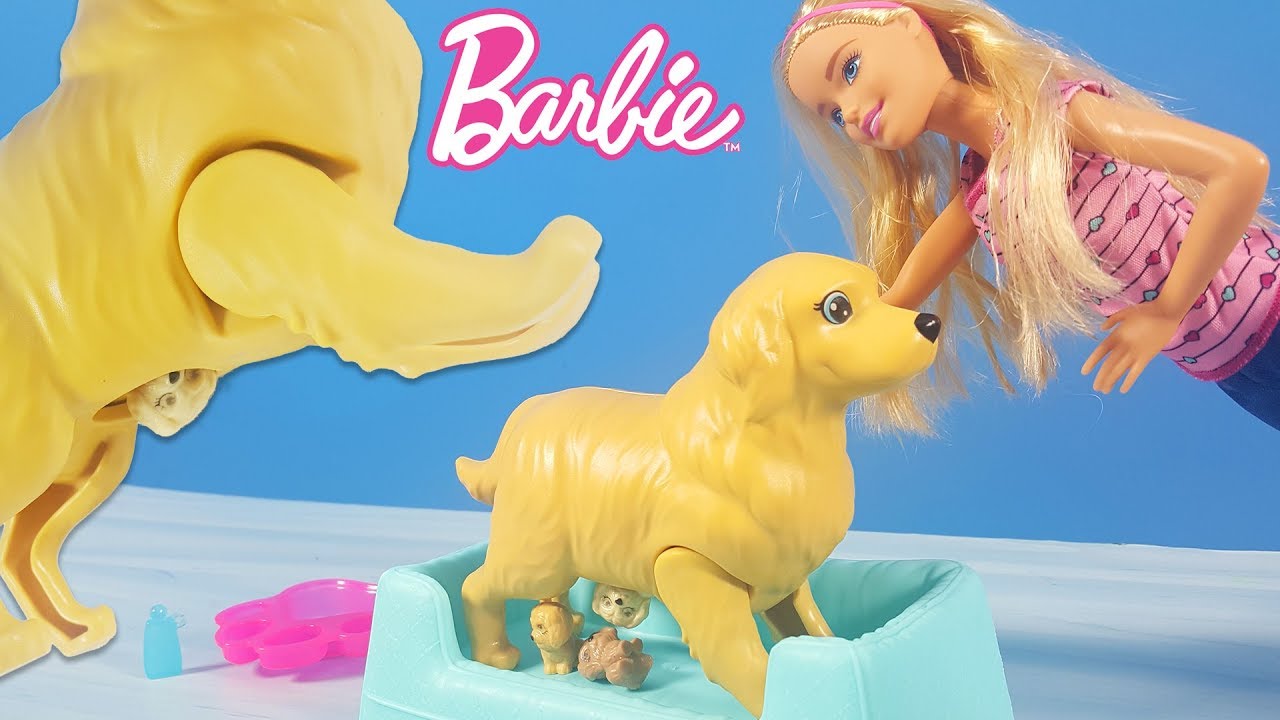 Barbie Yeni Doğum Yapan Köpek | Yeni Barbie Oyuncak Videoları | Evcilik TV