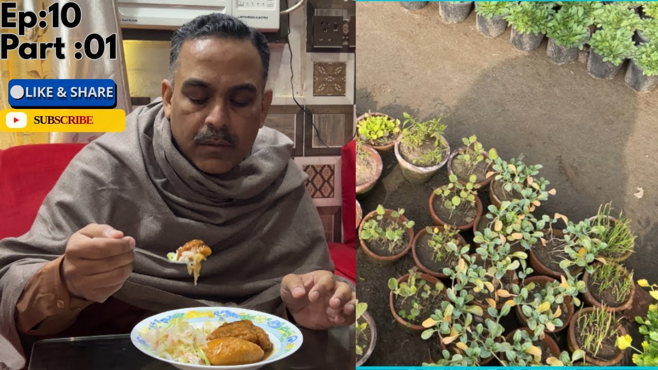 Ghar mein laddu pethi ki recipe| or plants shopping in nursery 
