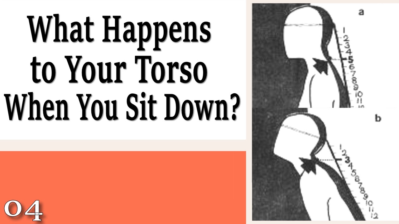 04 What Happens to Your Torso When you Sit Down? - Learning to Sit Down and Stand Up
