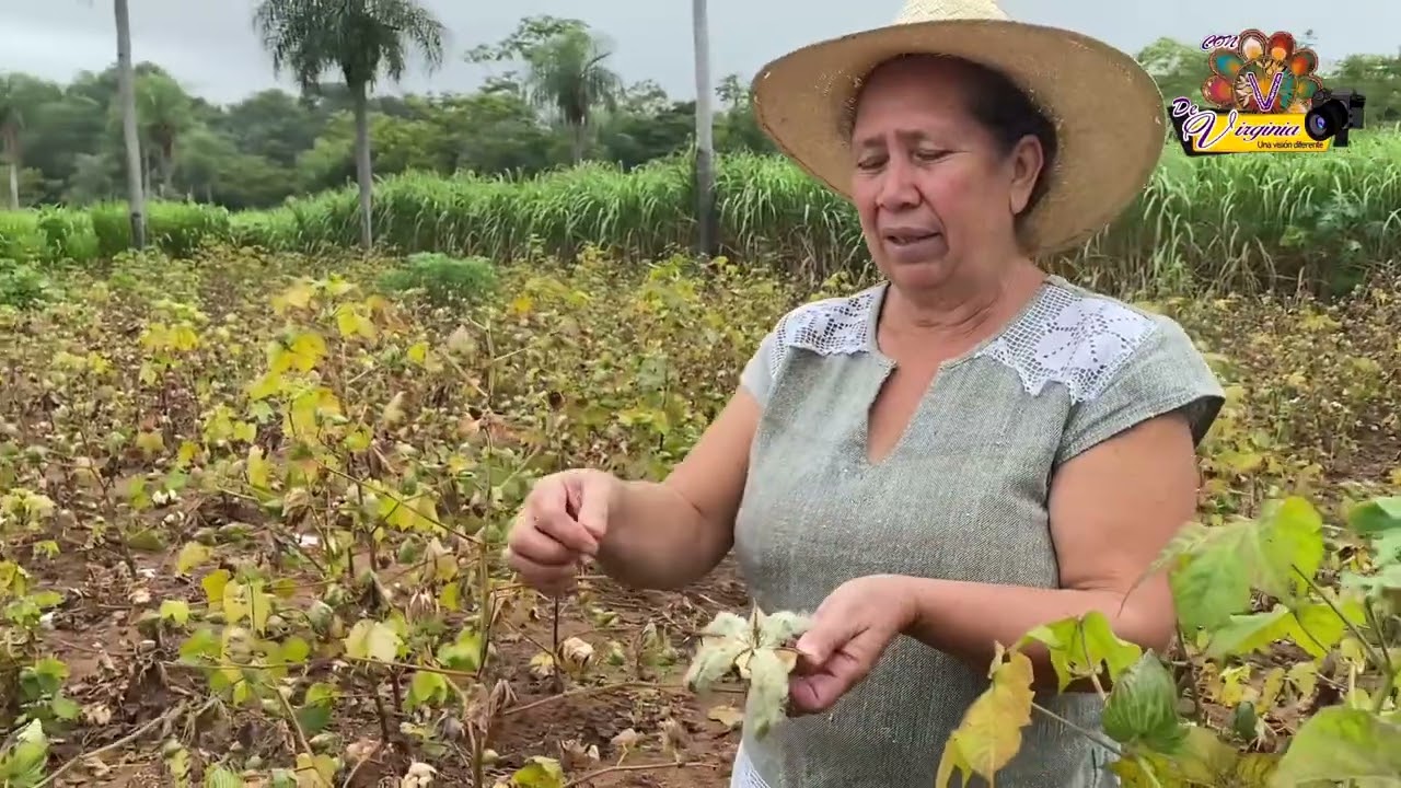 ¿Cómo es Guairá? Conocé el IV Departamento del Paraguay