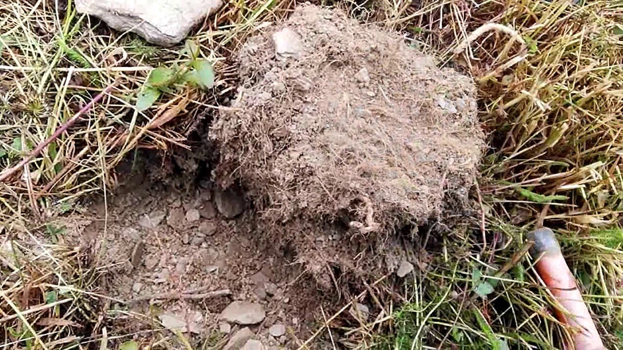 Sondeln Metalldetekting und wieder Tschechien, aaaber jetzt endlich: