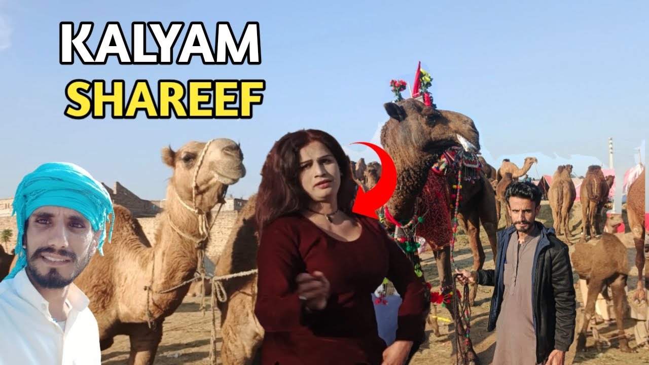 Kalyam Shareef Mela 2026 | Darbar Baba Fazal Shah Kalyami | Biggest Camel Show | Adeel Ahmed