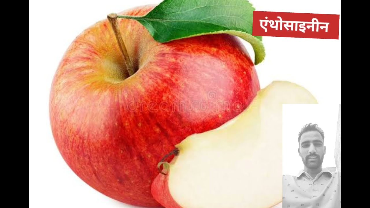 Colour Pigments in Fruits #agriexams #importantquestionofagriculture #agrigk #agriexams #mostuviral