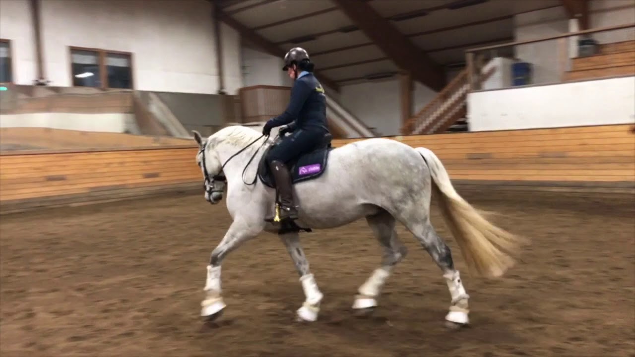 Bli bättre på att fatta galopp