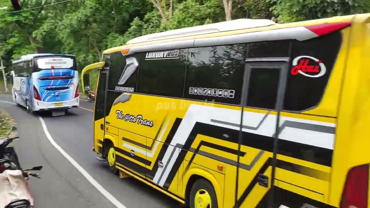 Mobil bus telolet bus medium saling tempel gacor 