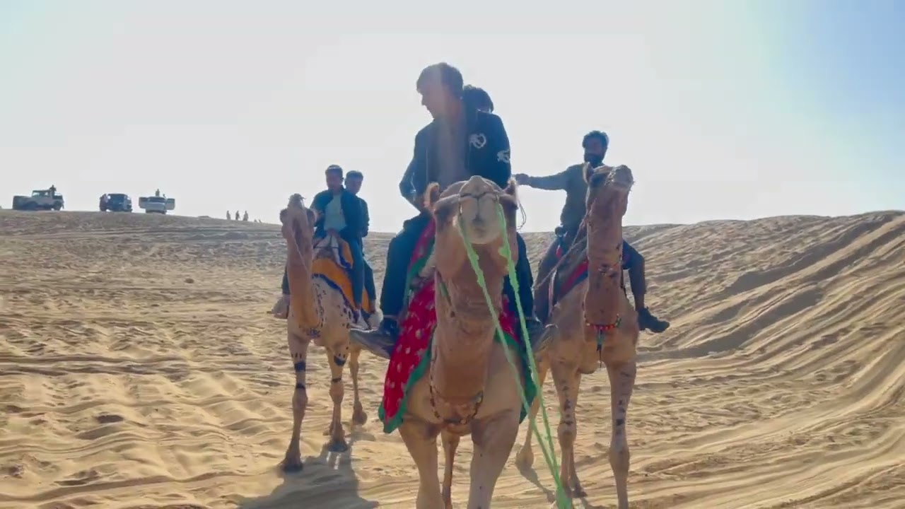 Jaisalmer Rajasthan tour viral video camels Safari enjoy 