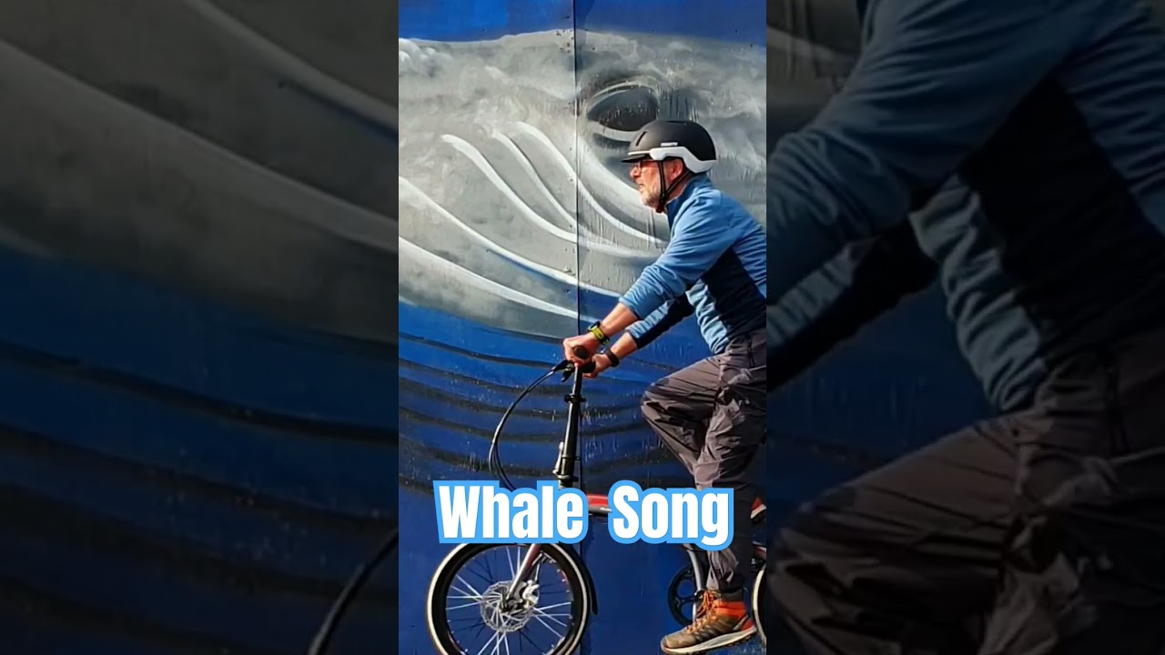 Whale Song #rivertay #scottishadventure #dundee #foldingbike