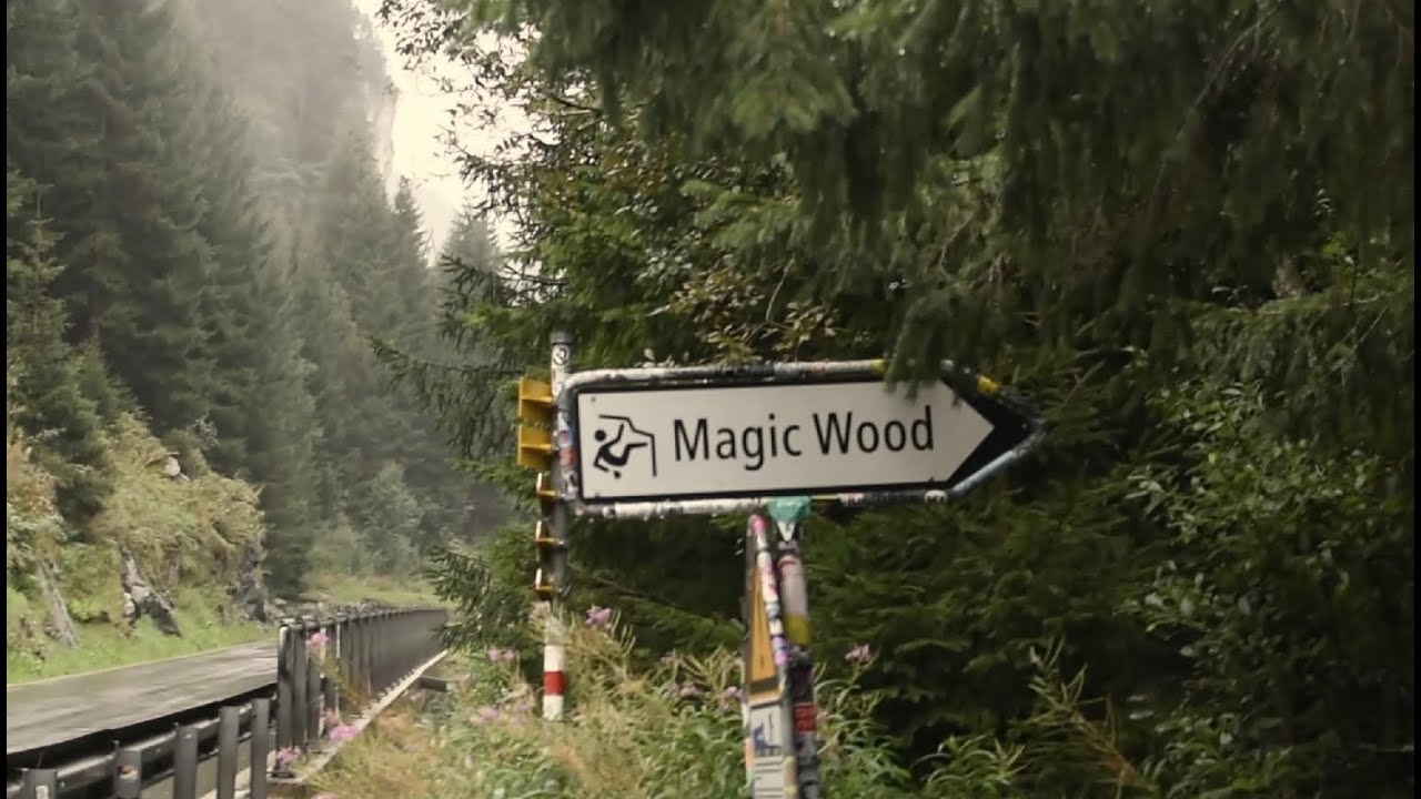 magic wood summer '24